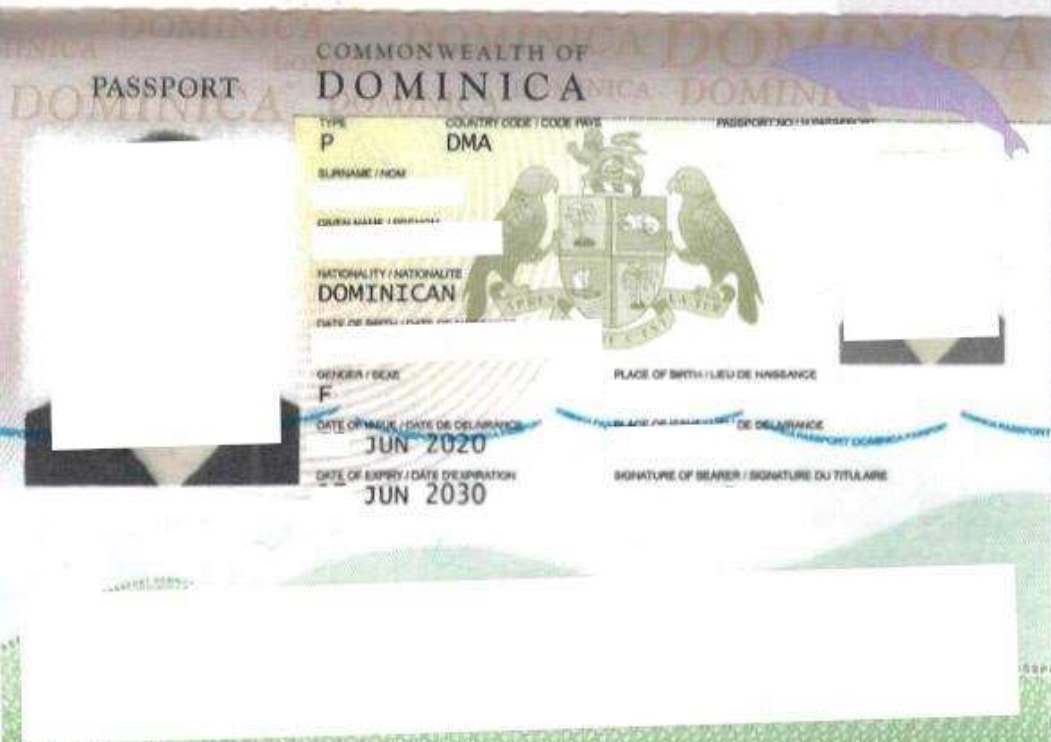 dominican vip passport usa